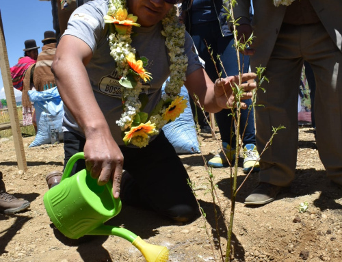 Celebramos el Día Nacional Del Árbol dando inicio a la Campaña Nacional de Forestación y Reforestación