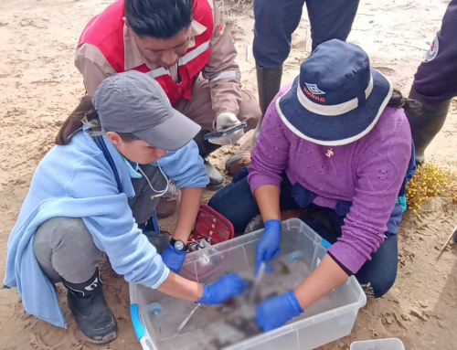 MINISTERIO DE MEDIO AMBIENTE INVESTIGA LA MUERTE DE RANAS EN EL RÍO SUCHES