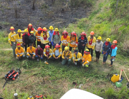 GOBIERNO CAPACITA A COMUNARIOS DEL PARQUE NACIONAL AMBORÓ EN PREVENCIÓN Y CONTROL DE INCENDIOS FORESTALES
