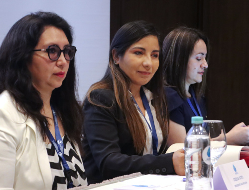 VICEMINISTRA MARISCAL MONTAÑO PLANTEA CONSOLIDAR ALIANZAS PARA MEJORAR EL SANEAMIENTO BÁSICO EN BENEFICIO DE LAS FAMILIAS BOLIVIANAS